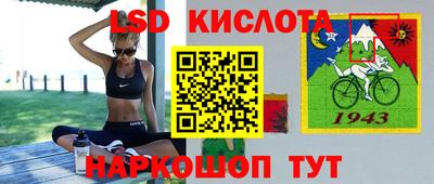 гидропоника Камышлов