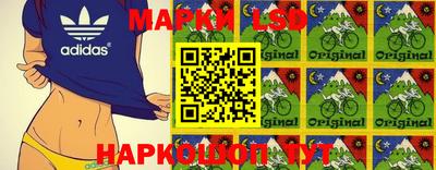 гидропоника Камышлов