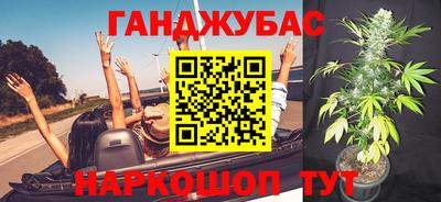 гидропоника Камышлов