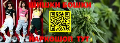 гидропоника Камышлов