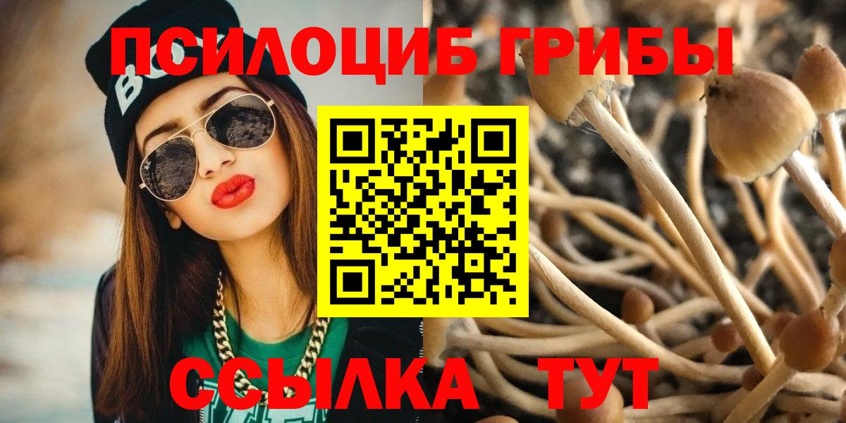Псилоцибиновые грибы мухоморы Крымск